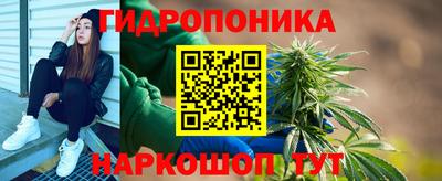 сатива Обь