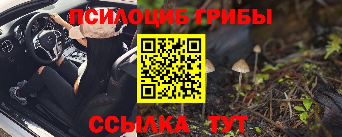 Галлюциногенные грибы прущие грибы Урюпинск