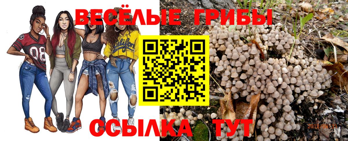 Галлюциногенные грибы Magic Shrooms  Галлюциногенные грибы ЛСД  Урюпинск  Вход с VPN 